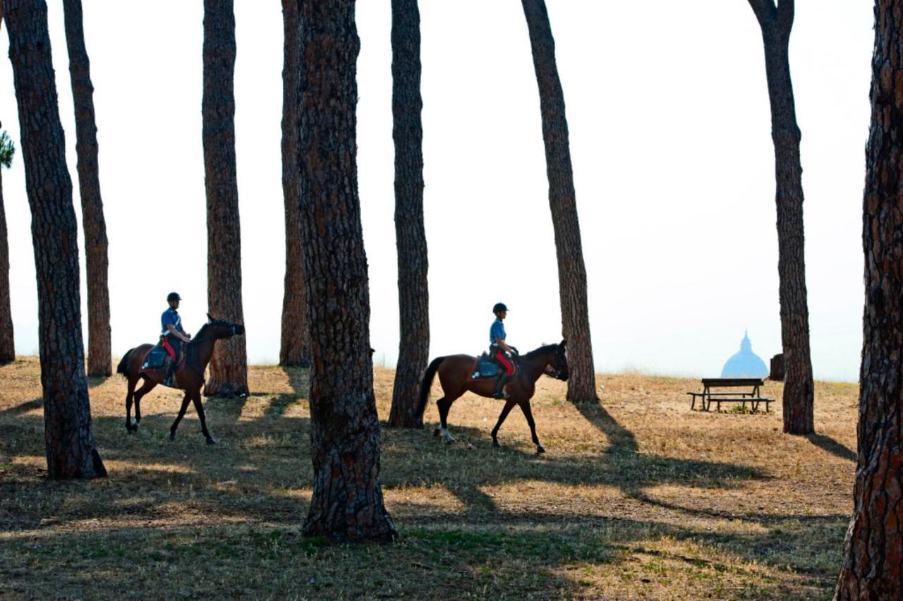Pinewood Hotel Ρώμη Εξωτερικό φωτογραφία